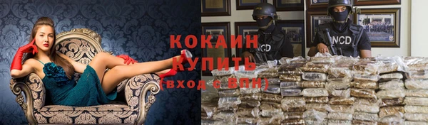 ешки Елизово