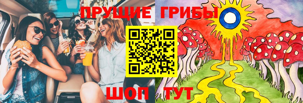 Галлюциногенные грибы Cubensis  Вход с VPN  Славгород  Галлюциногенные грибы GOLDEN TEACHER 