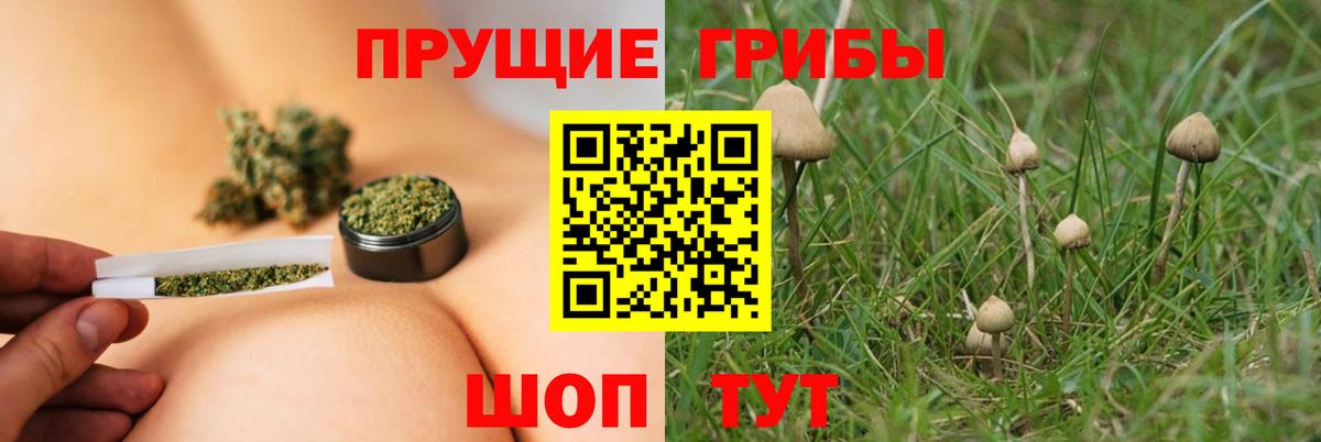 Псилоцибиновые грибы MAGIC MUSHROOMS  Галлюциногенные грибы прущие грибы  Славгород 